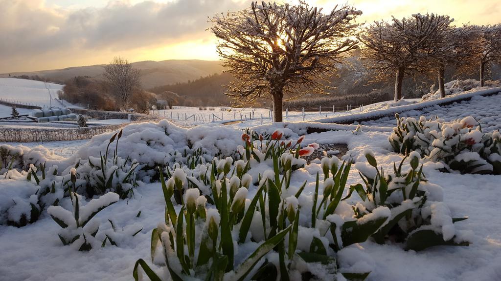 Fewo-Eifel-Morsbach Schleiden Zewnętrze zdjęcie