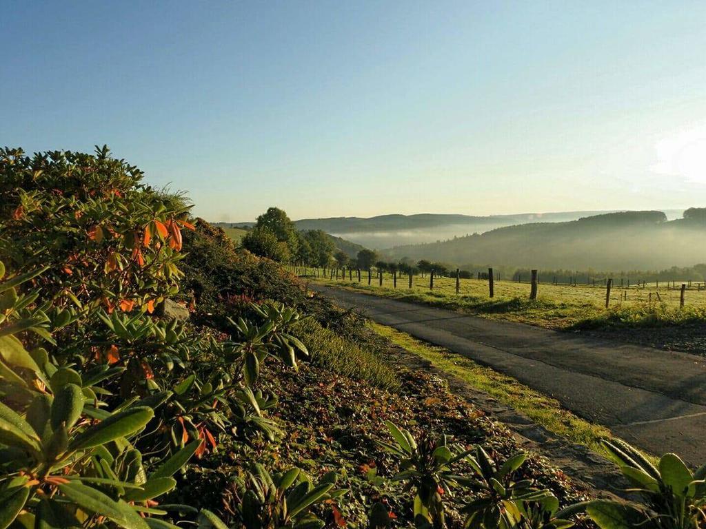 Fewo-Eifel-Morsbach Schleiden Zewnętrze zdjęcie
